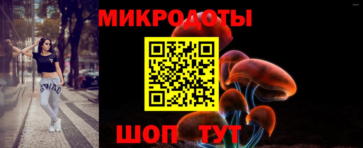 Галлюциногенные грибы Psilocybe  Псилоцибиновые грибы прущие грибы  Десногорск  Вход с VPN 