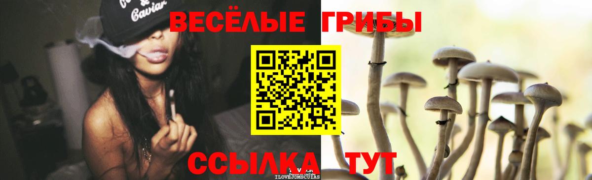 Галлюциногенные грибы GOLDEN TEACHER Десногорск